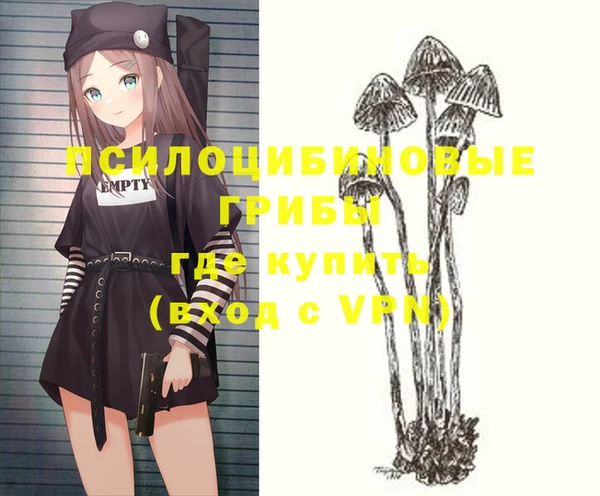стафф Армянск